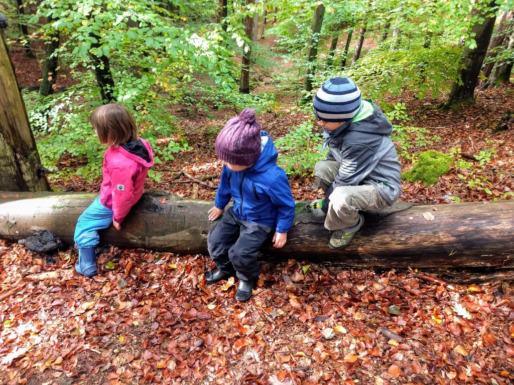 Dzieci siedzące na martwym pniu z hubą, podczas zajęć edukacji przyrodniczo - leśnej
