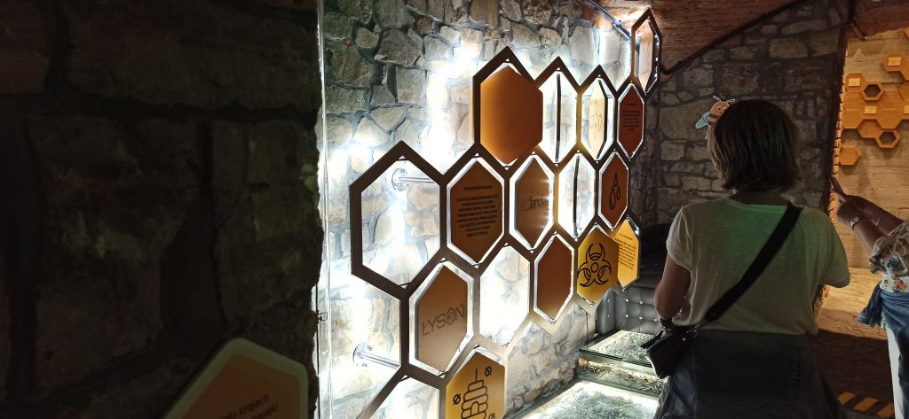 Zwiedzający w Apilandii, interaktywnym muzeum pszczelarstwa. Zdjęcie: Witold Ciechanowicz