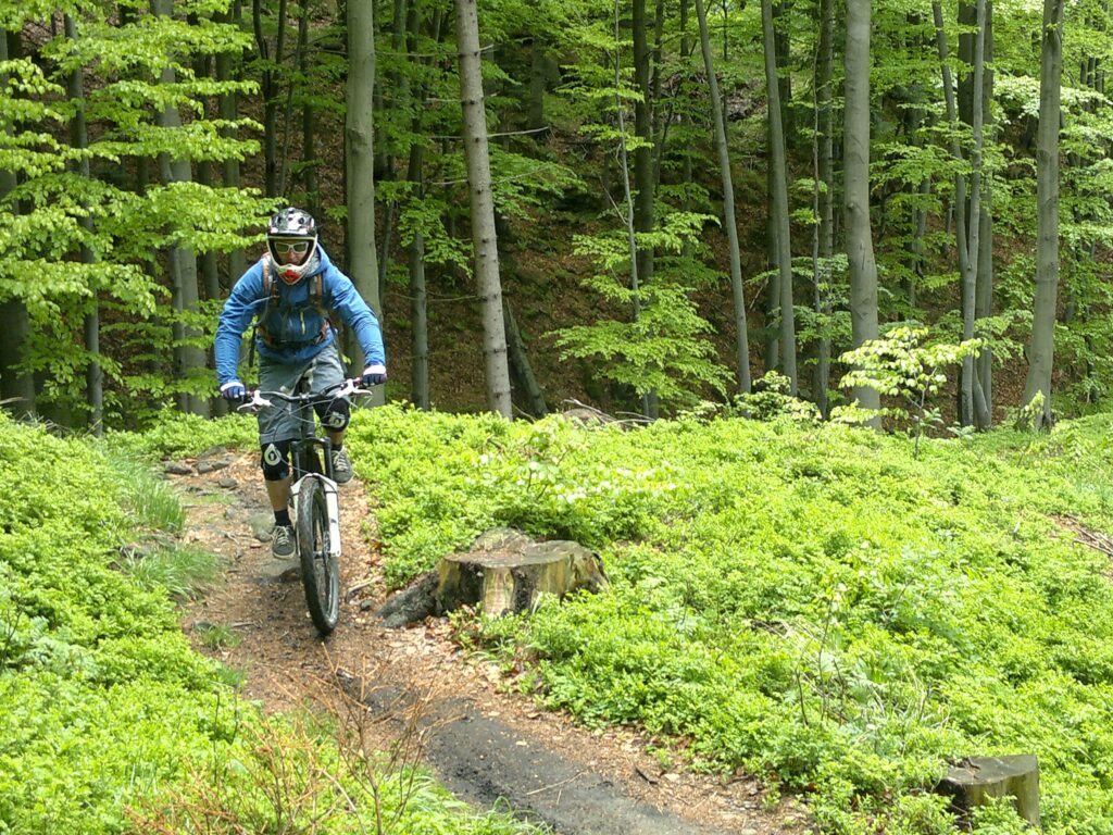 Rowerzysta na rowerze MTB i w zabudowanym kasku na wąskiej ścieżce w lesie w liściastym lesie górskim